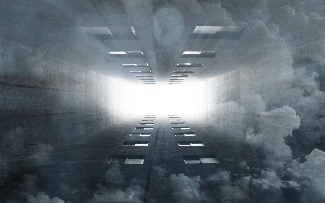 Polyplanity Productions-Mind the Fact 2020 – We need more space-11