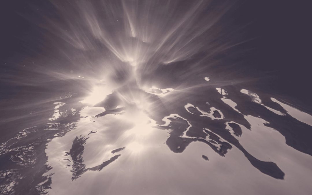 Polyplanity Productions-Mind the Fact 2020 – We need more space-12